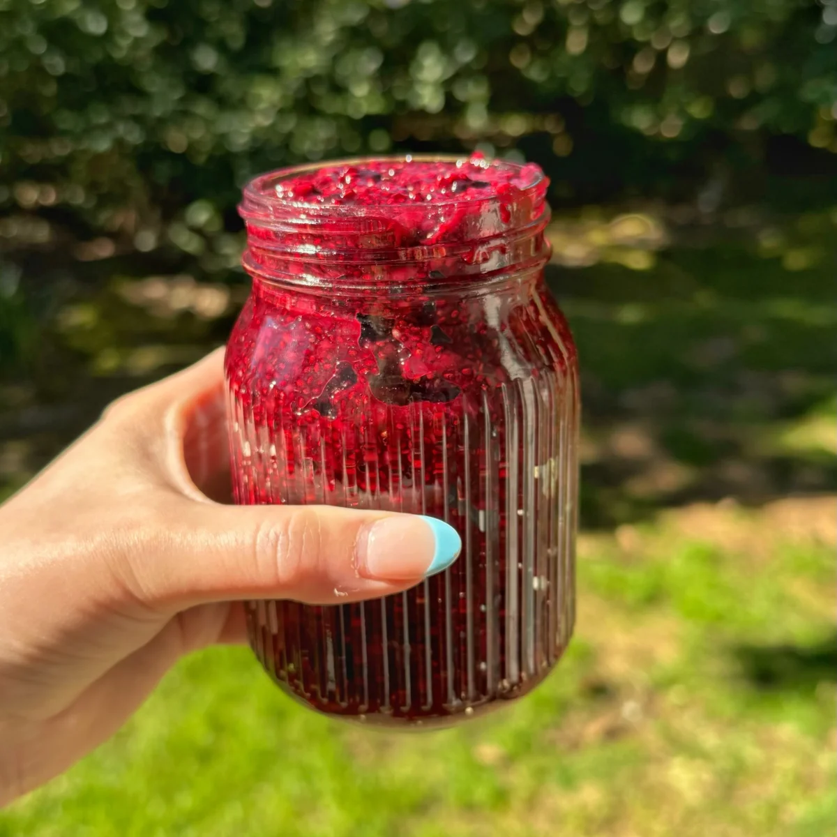 3 Ingredient Chia Jam