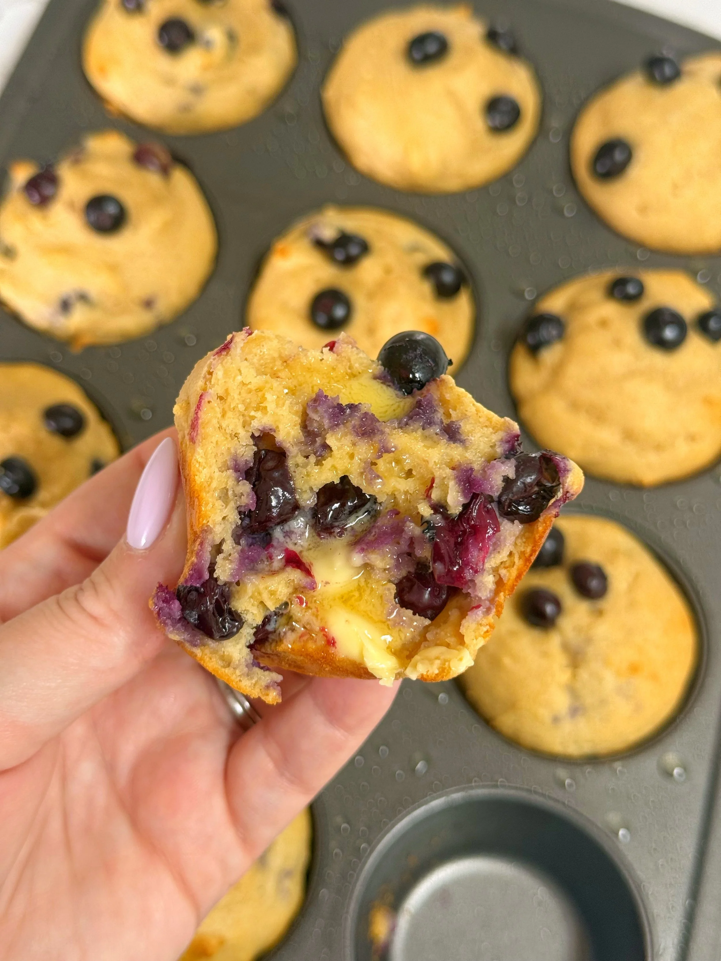 A muffin tin with blueberry muffins in them and one muffin being held up to the camera.