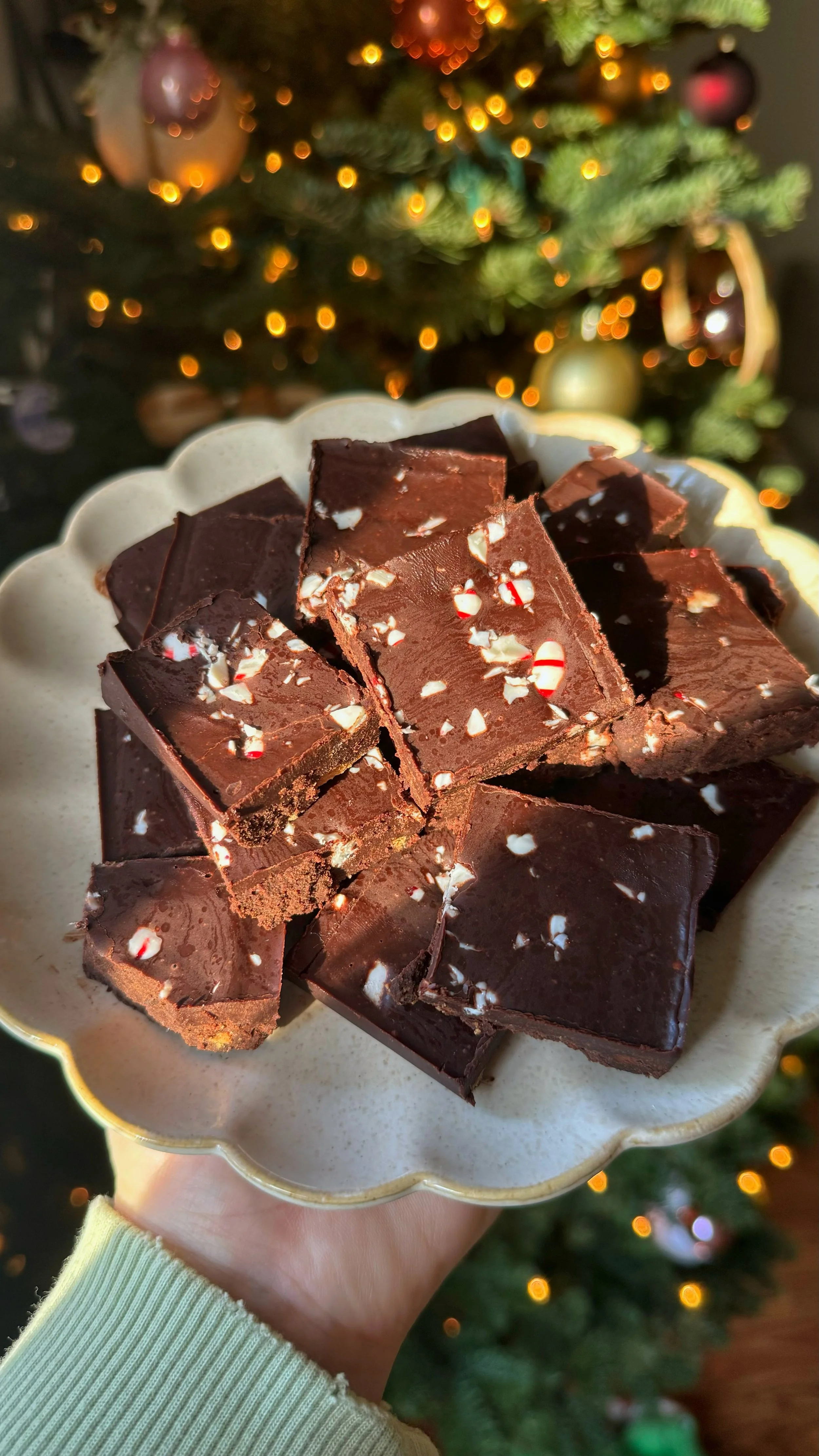 A plate of fudge with peppermint flakes on top.